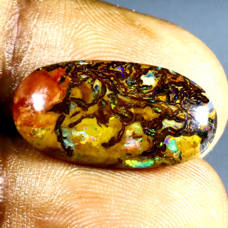 7.71 ct Charming Fancy Shape (21 x 11 mm) Multi Color Australian Koroit Boulder Opal Natural Loose Gemstone