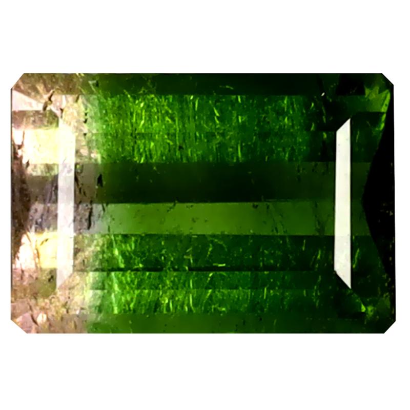 2.86 ct Terrific Octagon (10 x 7 mm) Unheated / Untreated Mozambique Watermelon Tourmaline Loose Gemstone